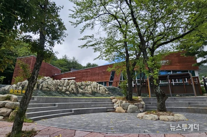 속초 문화버스킹 개최 장소