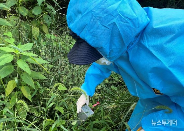 진드기감염병 주의