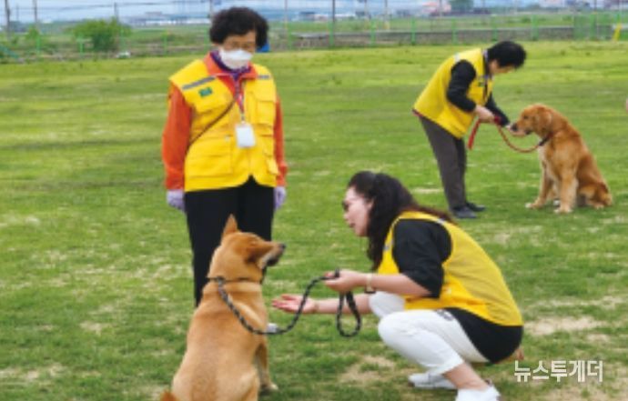 활동적 은퇴자 대상 교감치유 프로그램