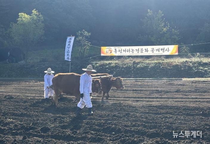 2025 홍천겨리농경문화 공개행사