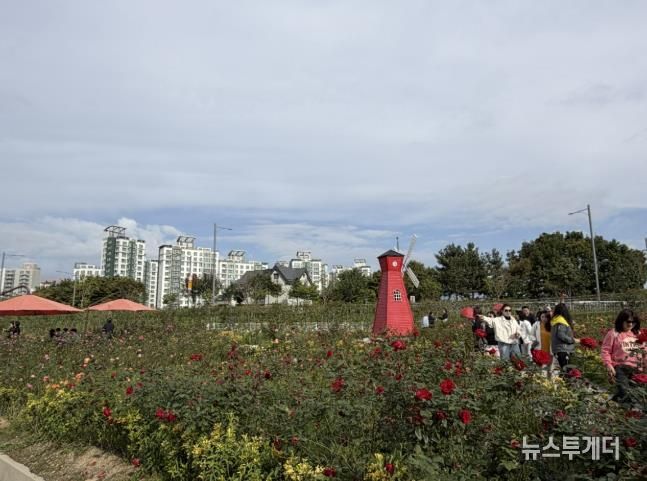 2025년 양주나리농원 가을 개장 성황리 종료