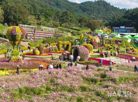 '2025 화순 고인돌 가을꽃 축제(도곡 축제장 전경)