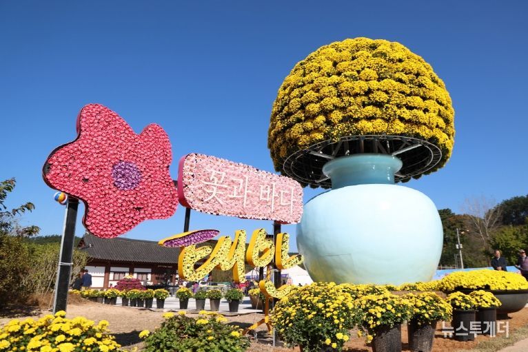 11월 3일 태안 국화축제 모습.