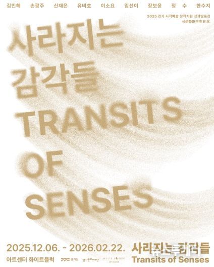 사라지는 감각들 포스터