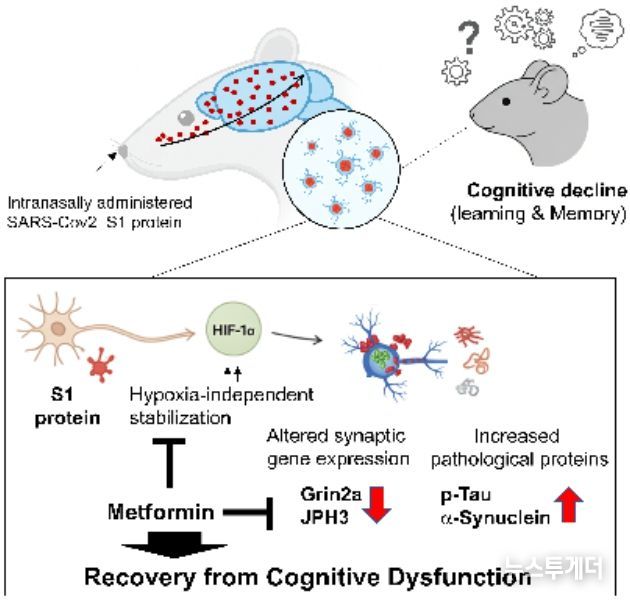 연구 내용 요약도