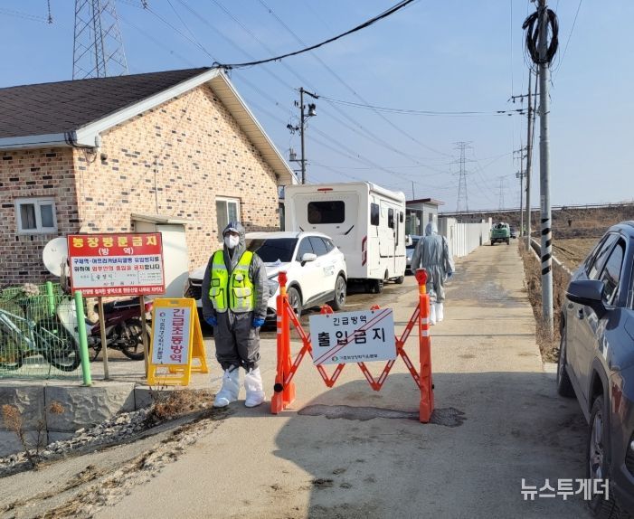 정읍시, 아프리카돼지열병 확진