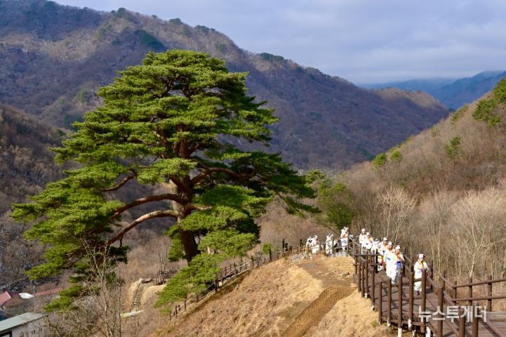 지리산 천년송 당산제, 남원시 산내면 와운마을에서 성황리에 열려